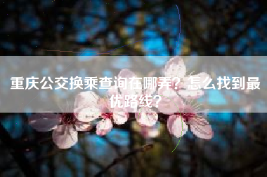 重庆公交换乘查询在哪弄？怎么找到最优路线？