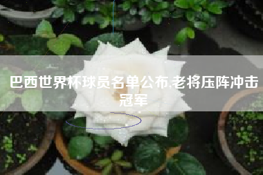 巴西世界杯球员名单公布,老将压阵冲击冠军