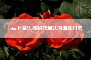 cba上海队,揭秘冠军队的训练日常