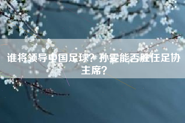 谁将领导中国足球？孙雯能否胜任足协主席？