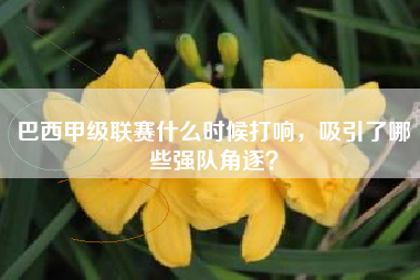 巴西甲级联赛什么时候打响，吸引了哪些强队角逐？