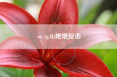 we ig,IG绝地反击