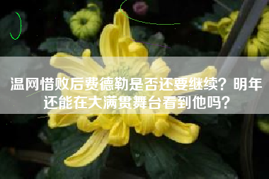 温网惜败后费德勒是否还要继续？明年还能在大满贯舞台看到他吗？