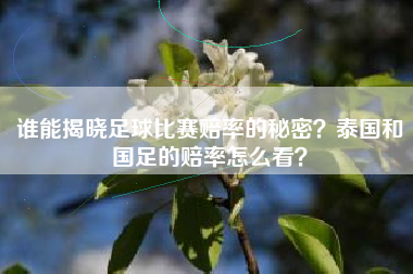 谁能揭晓足球比赛赔率的秘密？泰国和国足的赔率怎么看？