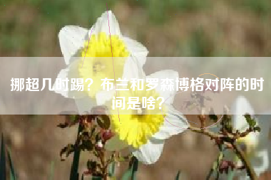 挪超几时踢？布兰和罗森博格对阵的时间是啥？