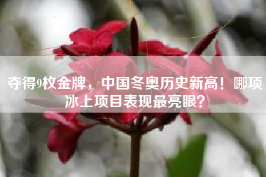 夺得9枚金牌，中国冬奥历史新高！哪项冰上项目表现最亮眼？