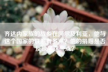 齐达内家族的故乡在阿尔及利亚，他与这个国家的联系有多深？他的捐赠是否反映了这一点？