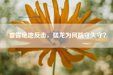 雷霆绝地反击，猛龙为何防守失守？
