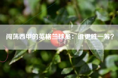 闯荡西甲的英格兰球员：谁更胜一筹？