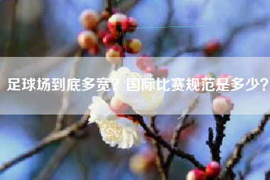 足球场到底多宽？国际比赛规范是多少？