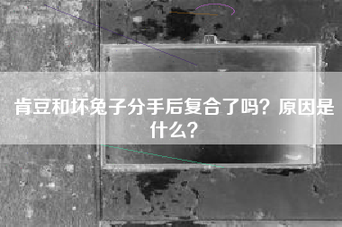 肯豆和坏兔子分手后复合了吗？原因是什么？