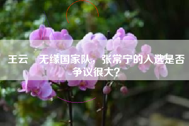 王云蕗无缘国家队，张常宁的入选是否争议很大？