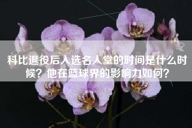 科比退役后入选名人堂的时间是什么时候？他在篮球界的影响力如何？