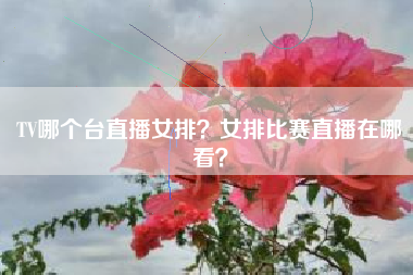 TV哪个台直播女排？女排比赛直播在哪看？