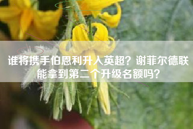 谁将携手伯恩利升入英超？谢菲尔德联能拿到第二个升级名额吗？
