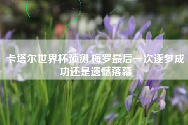 卡塔尔世界杯预测,梅罗最后一次逐梦成功还是遗憾落幕