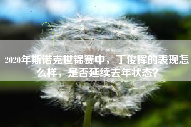 2020年斯诺克世锦赛中，丁俊晖的表现怎么样，是否延续去年状态？