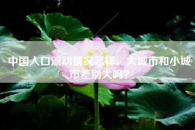 中国人口流动情况怎样，大城市和小城市差别大吗？