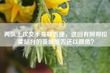 两队上次交手曼联告捷，这回有阿邦拉霍站台的曼城能否还以颜色？