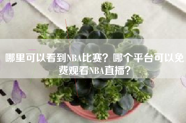 哪里可以看到NBA比赛？哪个平台可以免费观看NBA直播？