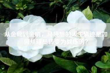 从金靴到金哨，马晓旭的人生轨迹是如何从球员转变为教练的？