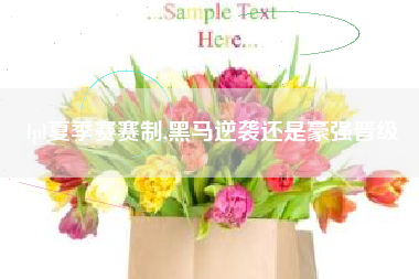 lpl夏季赛赛制,黑马逆袭还是豪强晋级