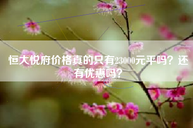 恒大悦府价格真的只有23000元平吗？还有优惠吗？