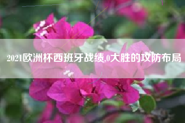 2021欧洲杯西班牙战绩,0大胜的攻防布局