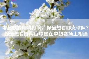 中超联赛即将打响，你最想看哪支球队？ 你最想看哪两位球星在中超赛场上相遇？