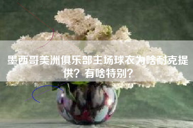 墨西哥美洲俱乐部主场球衣为啥耐克提供？有啥特别？