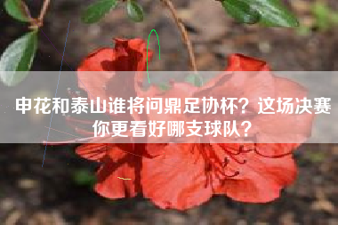 申花和泰山谁将问鼎足协杯？这场决赛你更看好哪支球队？