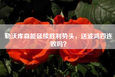 勒沃库森能延续胜利势头，送波鸿四连败吗？