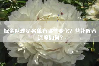 掘金队球员名单有哪些变化？替补阵容深度如何？