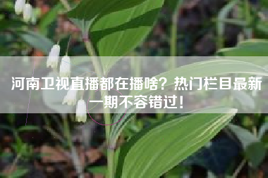 河南卫视直播都在播啥？热门栏目最新一期不容错过！