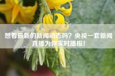 想看最新的新闻动态吗？央视一套新闻直播为你实时播报！