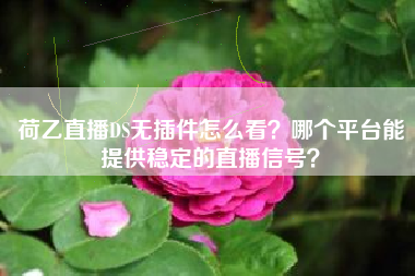 荷乙直播DS无插件怎么看？哪个平台能提供稳定的直播信号？