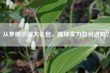 从罗纳尔到大礼包，踢球实力如何进阶？