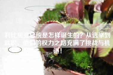 利比里亚总统是怎样诞生的？从选举到就职，他们的权力之路充满了挑战与机遇！