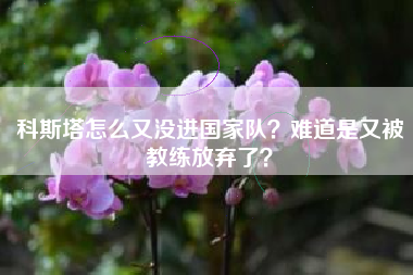 科斯塔怎么又没进国家队？难道是又被教练放弃了？