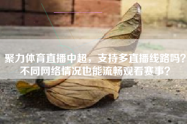 聚力体育直播中超，支持多直播线路吗？不同网络情况也能流畅观看赛事？
