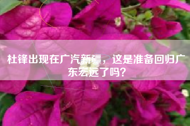 杜锋出现在广汽新疆，这是准备回归广东宏远了吗？