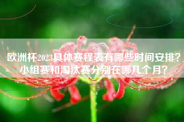 欧洲杯2023具体赛程表有哪些时间安排？小组赛和淘汰赛分别在哪几个月？