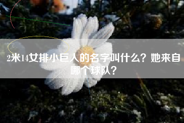 2米14女排小巨人的名字叫什么？她来自哪个球队？