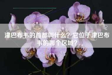 津巴布韦的首都叫什么？它位于津巴布韦的哪个区域？