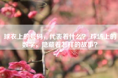 球衣上的号码，代表着什么？ 球场上的数字，隐藏着怎样的故事？