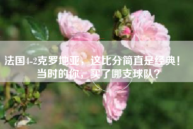 法国4-2克罗地亚，这比分简直是经典！  当时的你，买了哪支球队？