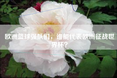 欧洲篮球强队们，谁能代表欧洲征战世界杯？