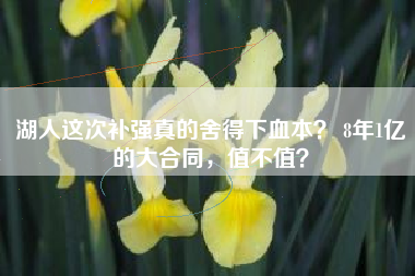 湖人这次补强真的舍得下血本？ 8年1亿的大合同，值不值？