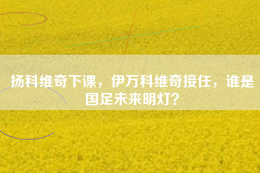 扬科维奇下课，伊万科维奇接任，谁是国足未来明灯？