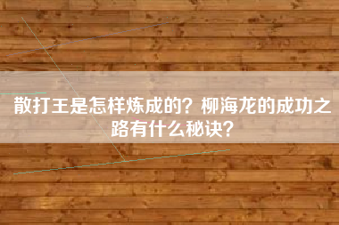 散打王是怎样炼成的？柳海龙的成功之路有什么秘诀？